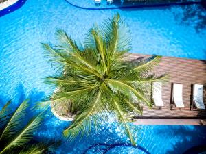 a palm tree in front of a swimming pool at Sombra e Água Fresca Floresta in Pipa
