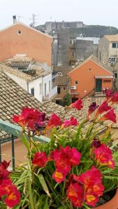 um ramo de flores vermelhas sentadas em cima de um telhado em Roof Garden House em Corfu Town