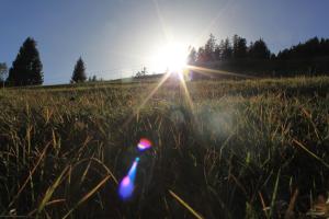Náttúran í nágrenni íbúðarinnar