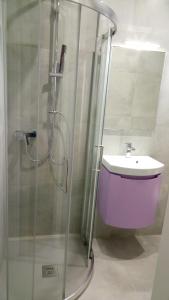 La salle de bains est pourvue d'une douche et d'un lavabo. dans l'établissement Hotel Catto Suisse, à Caorle