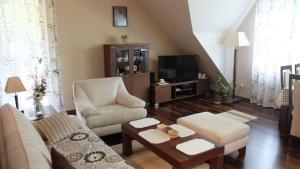 Una sala de estar con un sofá y un televisor. en Apartament Parkowa Polana, en Polanica-Zdrój