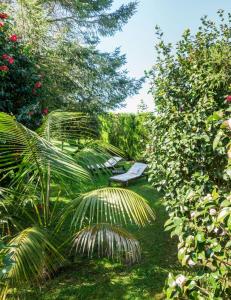 A garden outside Hotel Rural Cabo Busto