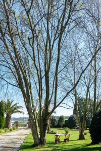 A garden outside Hotel Rural Cabo Busto
