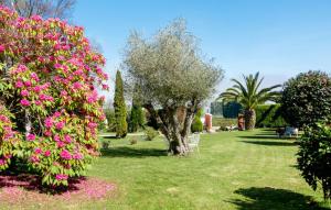 A garden outside Hotel Rural Cabo Busto