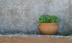 Fotografia z galérie ubytovania Corfu Town Garden Cottage v destinácii Korfu (mesto)