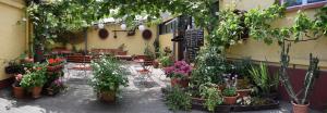 une terrasse avec des plantes en pot, des tables et des chaises dans l'établissement Hotel Restaurant Ruppert, à Walluf