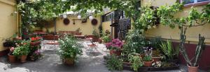 Zahrada ubytování Hotel Restaurant Ruppert