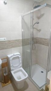 
a white toilet sitting next to a shower in a bathroom at Hostal Tamarindos in Matalascañas

