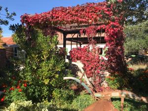 Vonkajšia záhrada v ubytovaní Rural house Mudrinic "Ivini dvori"