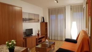 Una sala de estar con un sofá y un televisor. en Apartamentos Puerta Muralla, en Teruel