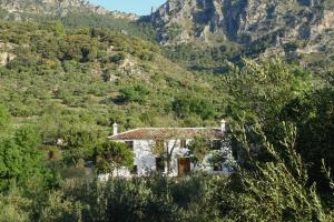 Príroda v okolí of the country house