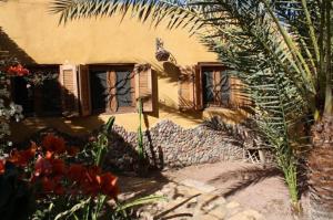 Foto de la galería de Jillyfish House, deine Oase in zwei Palmengärten, central am 'Lighthouse' en Dahab