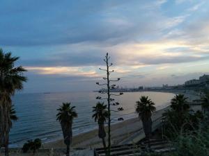 a group of palm trees on a beach with the ocean at Cala Azul 304-306 Tamarit in Tamarit