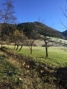 Fotografie z fotogalerie ubytování LunzFerien v destinaci Lunz am See