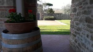 Foto dalla galleria di B&B Borgo del Contadino ad Arezzo