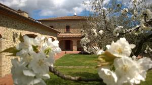 Foto dalla galleria di B&B Borgo del Contadino ad Arezzo