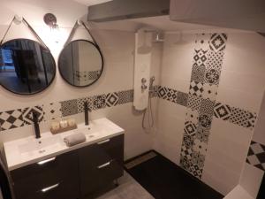 une salle de bain avec un lavabo, un miroir et une douche dans l'établissement Gite Le city en Provence, à Lambesc 7 autres photos