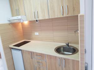 Dapur atau dapur kecil di Apartmani Vila Ebra