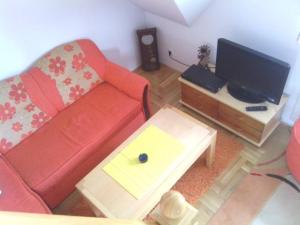Apartman Joca Zlatibor في زلاتيبور: غرفة معيشة مع أريكة حمراء وتلفزيون