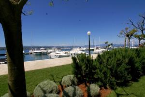 a bunch of plants in a park with boats in the water at Obala Apartment & Studios in Malinska
