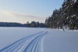 Foto dalla galleria di Kloten City a Kloten