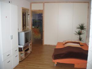 Gallery image of Appartement Wohlfartstätter in Walchsee