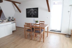 Küche/Küchenzeile in der Unterkunft Schwaben Apartment