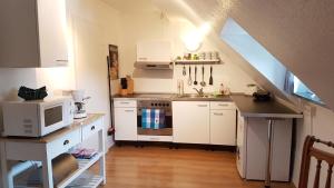 Η κουζίνα ή μικρή κουζίνα στο Appartementwohnung Antonia