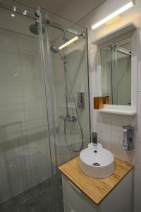 La salle de bains est pourvue d'un lavabo et d'une douche. dans l'établissement City&More! Apartment-Wieden, à Vienne