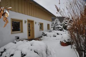 uma casa coberta de neve com árvores e arbustos em Tyrolska Zagroda Apartament em Karpacz