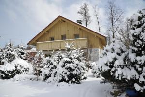 dom pokryty śniegiem z drzewami przed nim w obiekcie Tyrolska Zagroda Apartament w mieście Karpacz