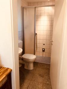 a bathroom with a toilet and a shower at Apartment Lotti in Grevenkop