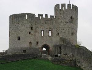an old castle with a large tower on a grass field at Castle Terrace (B3 R3) in Dudley
