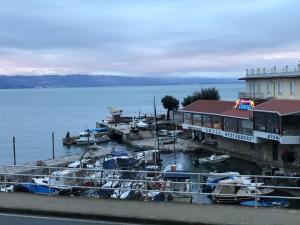 a group of boats docked at a dock on the water at Apartment Saric in Lovran