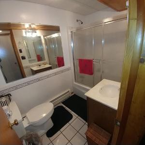 a bathroom with a toilet and a sink and a mirror at Cricket Hill in Killington