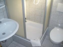 ein Bad mit einer Dusche, einem WC und einem Waschbecken in der Unterkunft Waldhaus Mühlenbeck bei Berlin in Mühlenbeck