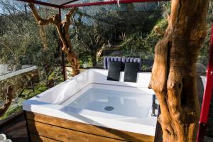 a bath tub in the middle of a tree at Agriturismo Campofiorito in Monsummano Terme