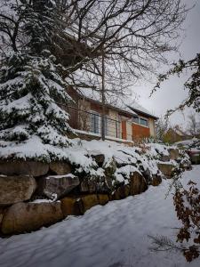Το Terrasses du Zimmerberg τον χειμώνα +13 φωτογραφίες