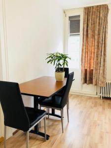 a dining room table with chairs and a potted plant at Happy central apartment in Interlaken