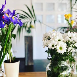菲格拉斯Hotel & Restaurant Figueres Parc的相册照片