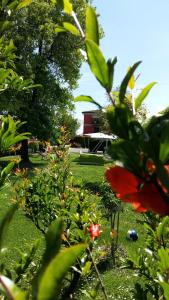A garden outside La Casa di Linda