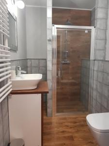 ポズナンにあるApartamenty Strzeleckaのバスルーム(シャワー、洗面台、トイレ付)