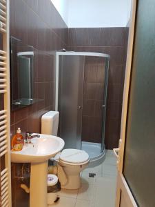 a bathroom with a shower and a toilet and a sink at Pensiunea Mioritza in Horezu