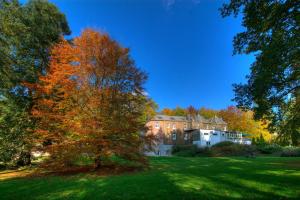 Zahrada ubytování Parkhotel Villa des Effats Vielsalm