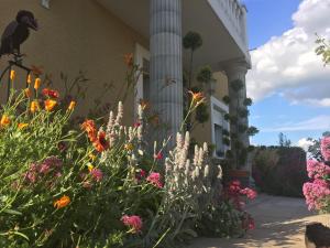 Ein Garten an der Unterkunft Mille et Une Bulles 51