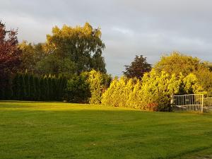 Gallery image of Fewo am Saalerbodden in Bartelshagen