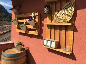 ściana z drewnianymi półkami i roślinami w obiekcie Hotel Torrepalacio w mieście Proaza