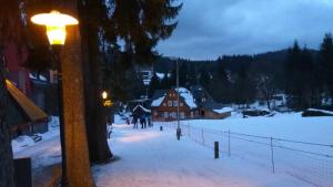 Harrachov Resident Apartments "Terrace & Chill" - high speed WiFi, možnost snídaně, Smart TV, Netflix, Disney plus v zime