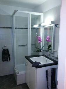 a bathroom with a shower and a white sink at Seeblick Apartment/Zimmer in Gmunden