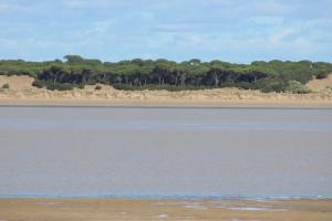 Fotografia z galérie ubytovania Piso en la playa de Sanlucar v destinácii Sanlúcar de Barrameda